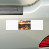 Lion of Judah Collectie Bumpersticker (Op auto)