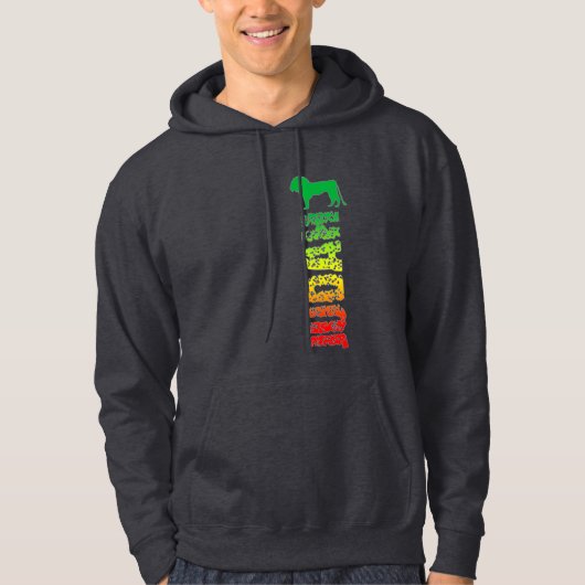 Lion of Judah Hoodie (Voorkant)