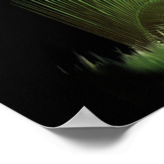 Lion of judah Poster (Coin)