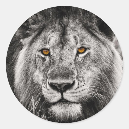 Lion of Judah - Rastafara - Jah Rastafari Sticker (Devant)