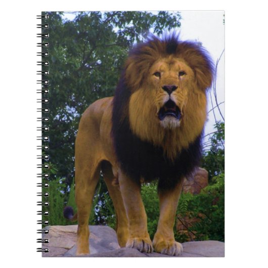 Lion on a Rock Notitieboek (Voorkant)