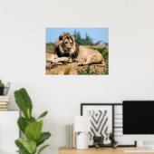 Lion op de grond poster (Thuiskantoor)