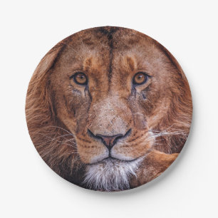 Lion Papieren Bordje
