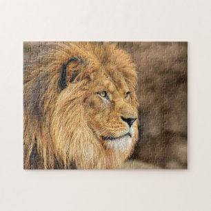 Lion Photo Portrait Legpuzzel