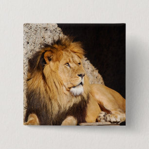 Lion Photo Square Pin Vierkante Button 5,1 Cm