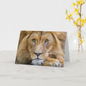 LION PHOTOGRAPHIE CARTE DE SALUT D'ANNIVERSAIRE (Fleur jaune)