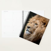 Lion Planner (Display)