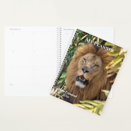 Lion Planner (Devant avec enveloppe)