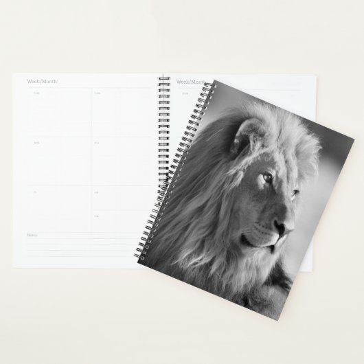Lion Planner (Display)