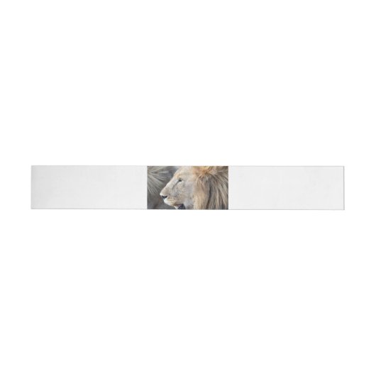 Lion Portrait (Individueel)