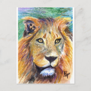 Lion Portrait ACEO Briefkaart