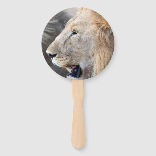 Lion Portrait Handwaaier (Achterkant)