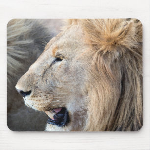 Lion Portrait Muismat