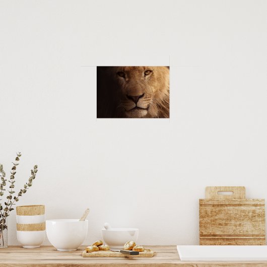 Lion Portrait Poster (Keuken)