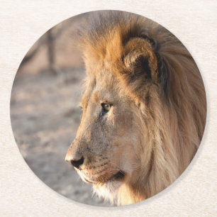 Lion Portrait Ronde Kartonnen Onderzetter