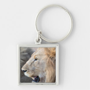Lion Portrait Sleutelhanger