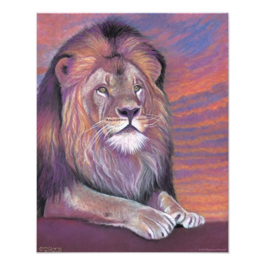 Lion Poster (Voorkant)