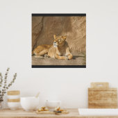 Lion poster (Keuken)
