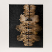 Lion Pride Drinks at the Water Hole at Night Legpuzzel (Verticaal)