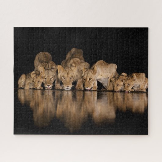 Lion Pride Drinks at the Water Hole at Night Legpuzzel (Horizontaal)