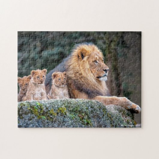 Lion Pride Legpuzzel (Horizontaal)