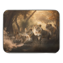 Lion Pride Resting in de Shade Acryli