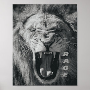 Lion Rage Black en White Roar Poster
