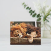 LION RELAXING Briefkaarten (Staand voorkant)