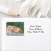 Lion Return Address Labels (Insitu)