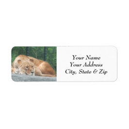 Lion Return Address Labels
