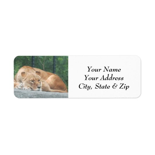 Lion Return Address Labels (Voorkant)