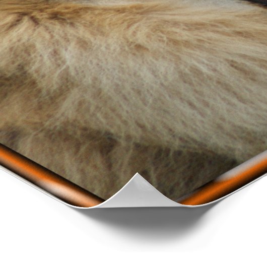 LION ROAR POSTER (Coin)