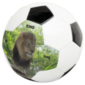 Lion - Roi du Champ - Bal de Football (3/4)