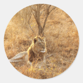 Lion Ronde Sticker