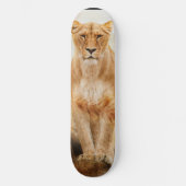 Lion Skateboard (Voorkant)