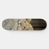 Lion Skateboard (Horizontaal)