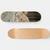 Lion Skateboard (Horizontaal)