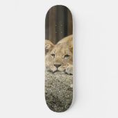 Lion Skateboard (Voorkant)