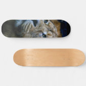 Lion Skateboard (Horizontaal)