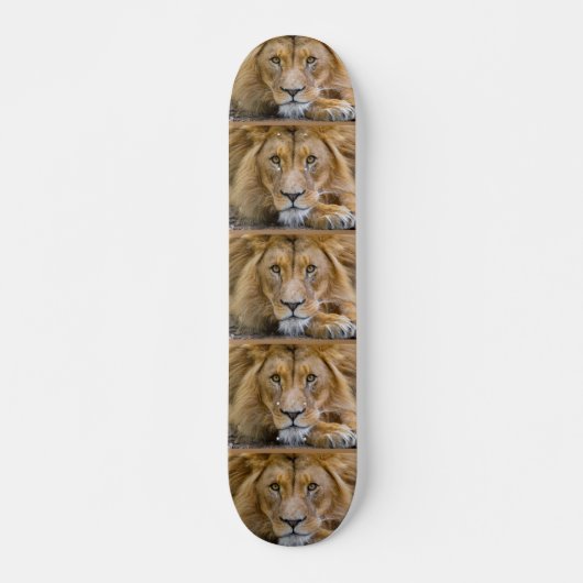 LION Skateboards (Voorkant)