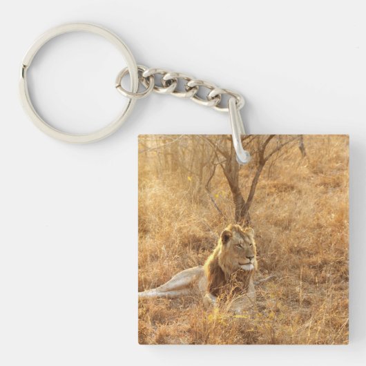 Lion Sleutelhanger (Voorkant)