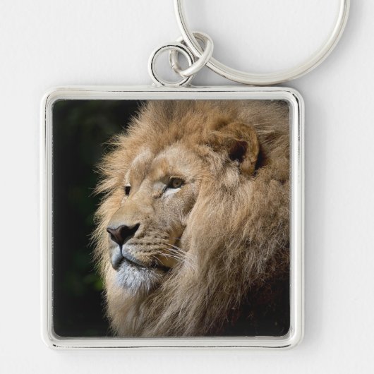 Lion Sleutelhanger (Voorkant)