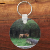 Lion Sleutelhanger (Voorkant)