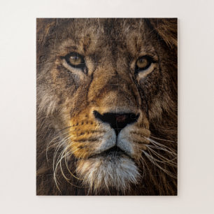 Lion sluiten, volwassen man legpuzzel