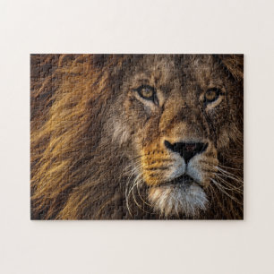 Lion sluiten, volwassen man legpuzzel