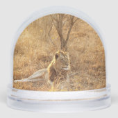 Lion Sneeuwbol (Voorkant)