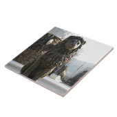 Lion Statue Tegeltje (Zijkant)