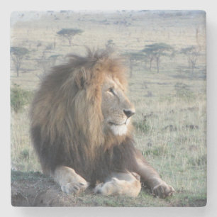 Lion Stone Onderzetter