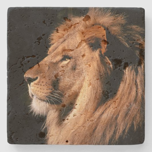 Lion Stone Onderzetter (Voorkant)