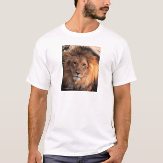 Lion T-shirt
